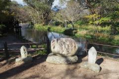 Azumino - Ferme à Wasabi Daioh
