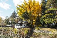 Azumino - Ferme à Wasabi Daioh
