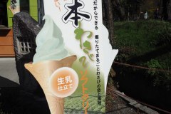 Azumino - Glace au wasabi