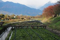 Azumino