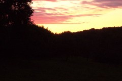 006-Jardin de mes parents, ciel rose