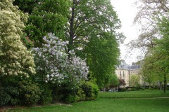 011-Parc de Monceau