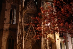 013-Cathédrale de Rouen, cerisiers de nuit