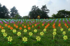 038-Showa Kinen Koen, Tachikawa