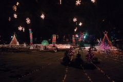 052-Illuminations du Lincoln Zoo, Chicago