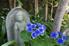 072-Statue bouddhique et hydrangea, Hasedera