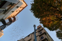 075-Nakano, ciel d'automne