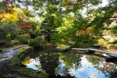 090-Jardin du sanctuaire Oyama, Kanazawa