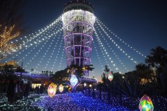 091-Illuminations à Enoshima