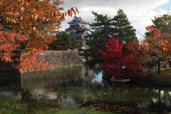 099-Château de Matsumoto et feuillages d'automne