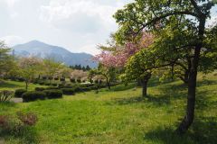 Chichibu Hitsujiyama