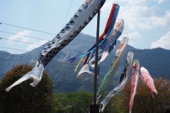 Chichibu Hitsujiyama