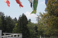 Chichibu Hitsujiyama