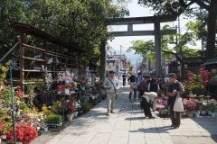 Sanctuaire Chichibu