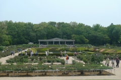 Jardin botannique Jindai - Roseraie