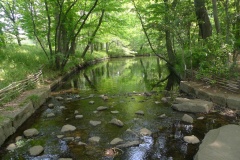 Jardin botannique Jindai