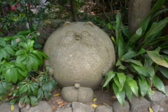 Chofu - Tanuki
