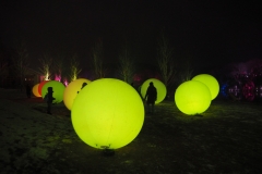 teamlab digitalized lake and forest