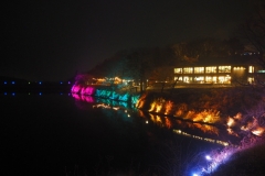 teamlab digitalized lake and forest