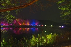 teamlab digitalized lake and forest
