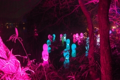 teamlab digitalized lake and forest