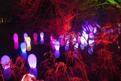 teamlab digitalized lake and forest