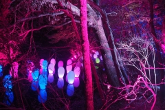 teamlab digitalized lake and forest