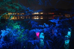 teamlab digitalized lake and forest