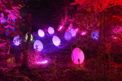 teamlab digitalized lake and forest