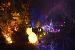 teamlab digitalized lake and forest