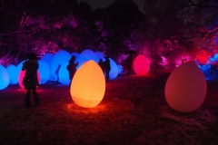 teamlab digitalized lake and forest