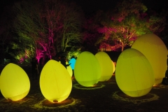 teamlab digitalized lake and forest