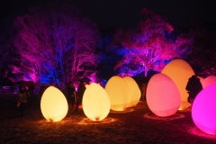 teamlab digitalized lake and forest
