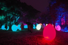 teamlab digitalized lake and forest