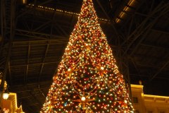 Disneyland à Noël - Le grand sapin