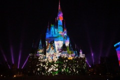 Disneyland - Once upon a time