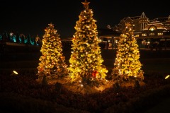 Disneyland à Noël