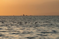 Enoshima - Océan