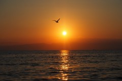 Enoshima - Coucher de soleil