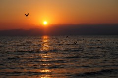 Enoshima - Coucher de soleil