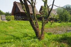 Shirakawa-go - Village musée