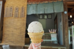 Shirakawa-go - Glace