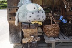 Shirakawa-go - Boutique