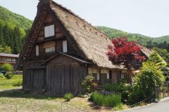 Shirakawa-go - Village