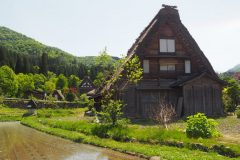 Shirakawa-go - Village