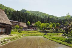 Shirakawa-go - Village