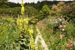 Fleurs de Giverny