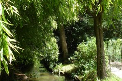 Rivière