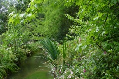 Fleurs de Giverny