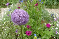 Fleurs de Giverny